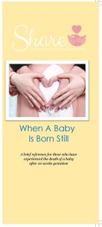Product Description: A reference for thedeath of a baby after 20 weeks gestation. This brochure Includes information on: grieving process for bereaved parents,ways tomemorializeyour baby, self-care tips, and expressing your grief to others.</br></br>25 brochures: $20</br>50 brochures: $40</br>100 brochures: $60</br></br>Please call the office to order a packet of multiple topics - 636-947-6164.</br> When a Baby is Born Still: Share Informational Bro