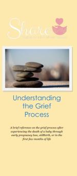 Product Description: A brief reference for anyone grieving the loss of a baby who died through pregnancy loss, stillbirth, or in the first few months of life.</br></br>25 brochures: $20</br>50 brochures: $40</br>100 brochures: $60</br></br>Please call the office to order a packet of multiple topics - 636-947-6164.</br> Understanding the Grief Process: Share Information