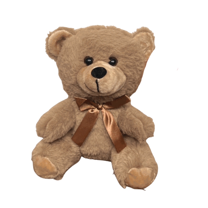 Product Description: 2026 Walk Share Bear with tshirt with walk logo (tshirt not pictured)</br> 2026 Share Bear