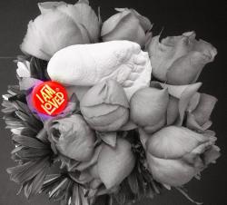 Fundraising Page Image