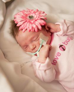 Fundraising Page Image