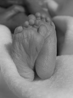 Fundraising Page Image