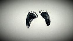 Fundraising Page Image